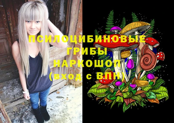 мяу мяу мука Вяземский