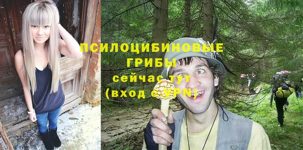 МДПВ Вязники