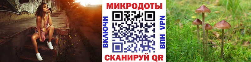 omg зеркало  Канаш  Псилоцибиновые грибы GOLDEN TEACHER 